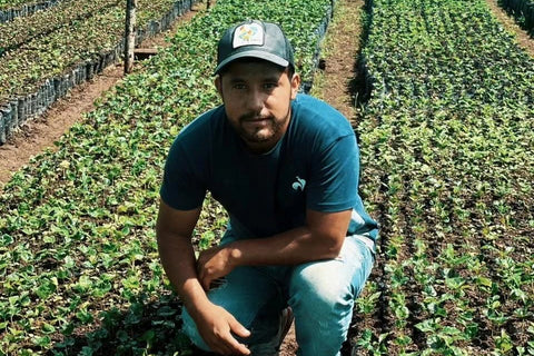 Edinson Argote, Finca Quebraditas TS Orange Bourbon