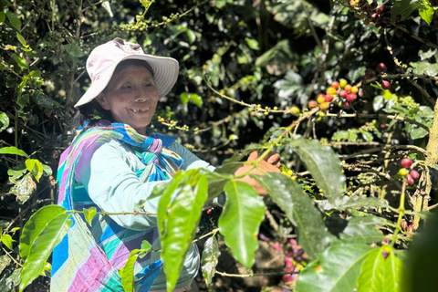 Bertha Huaylla Sayllo - Finca Tranca
