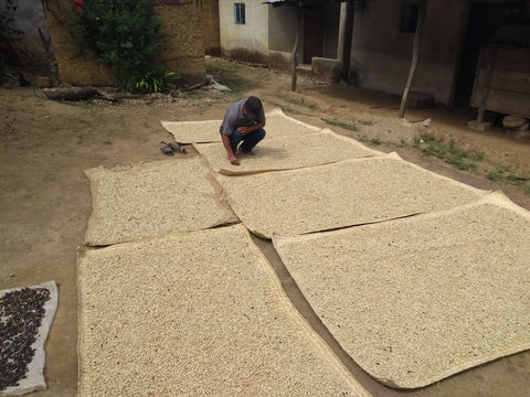 Santa Cruz Ozolotepec community lot