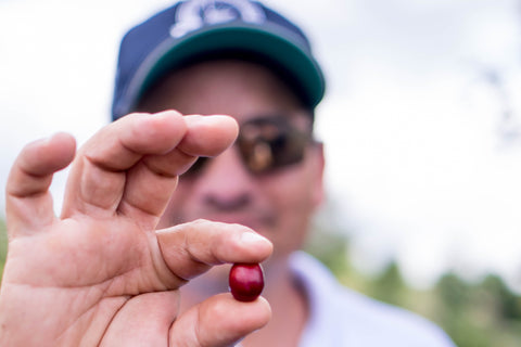 Wilton Benitez Anaerobic Natural Tabi