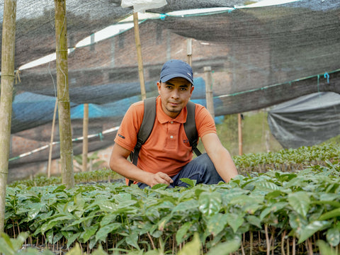 William Cruz,  Finca Jericó - Espresso Roast