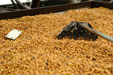 Inmaculada Fellows Pink Bourbon