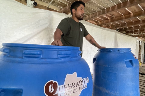 Edinson Argote, Finca Quebraditas Pink Bourbon