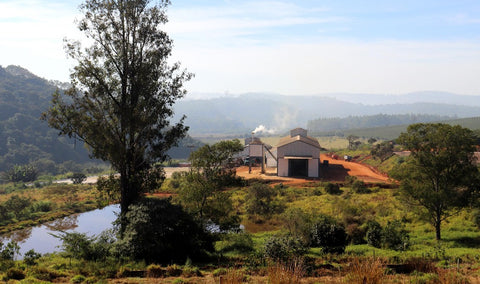 Fazenda do Cruzeiro