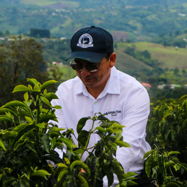 Photo of WILTON BENITEZ TS ANAEROBIC GEISHA