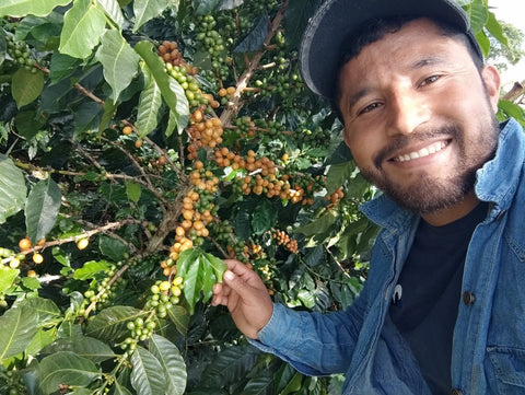 Edinson Argote, Finca Quebraditas Orange Bourbon