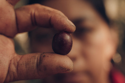 Maricela Esperon El Sotano